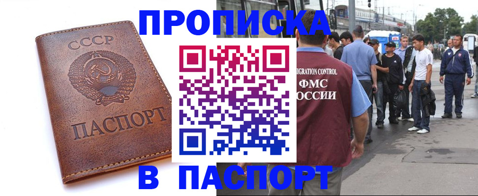 временная регистрация поиск в Дубне